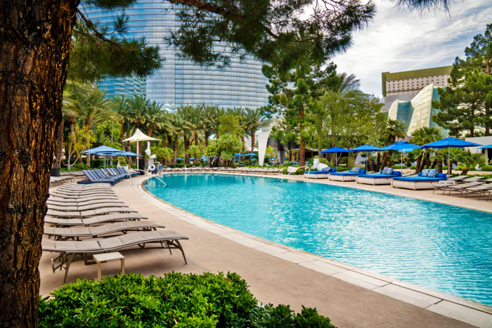 ARIA Sky Pool
