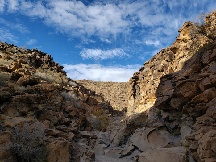 Sloan Canyon National Conservation Area